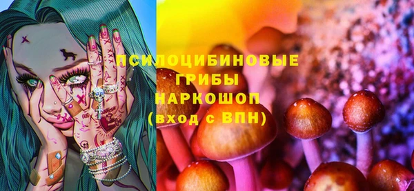 стафф Нефтегорск