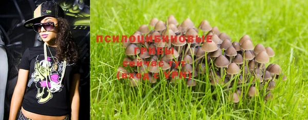 стафф Нефтегорск