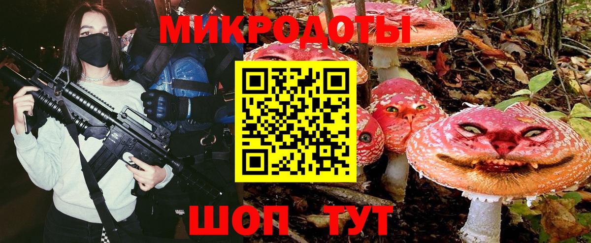 Псилоцибиновые грибы мухоморы Саров