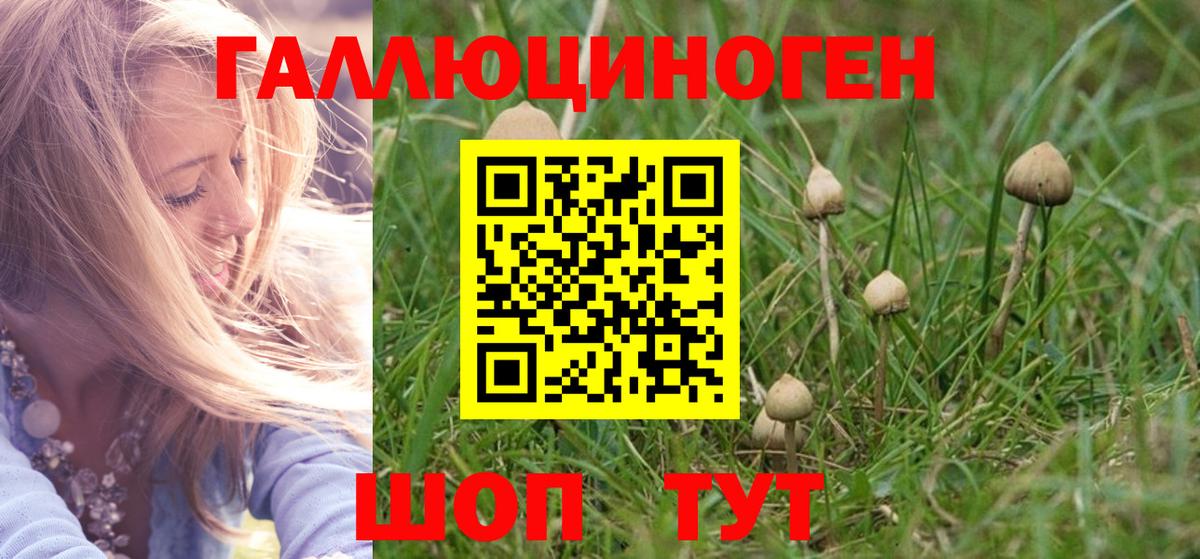 Саров  Псилоцибиновые грибы Psilocybine cubensis  Вход с VPN  Галлюциногенные грибы Cubensis 
